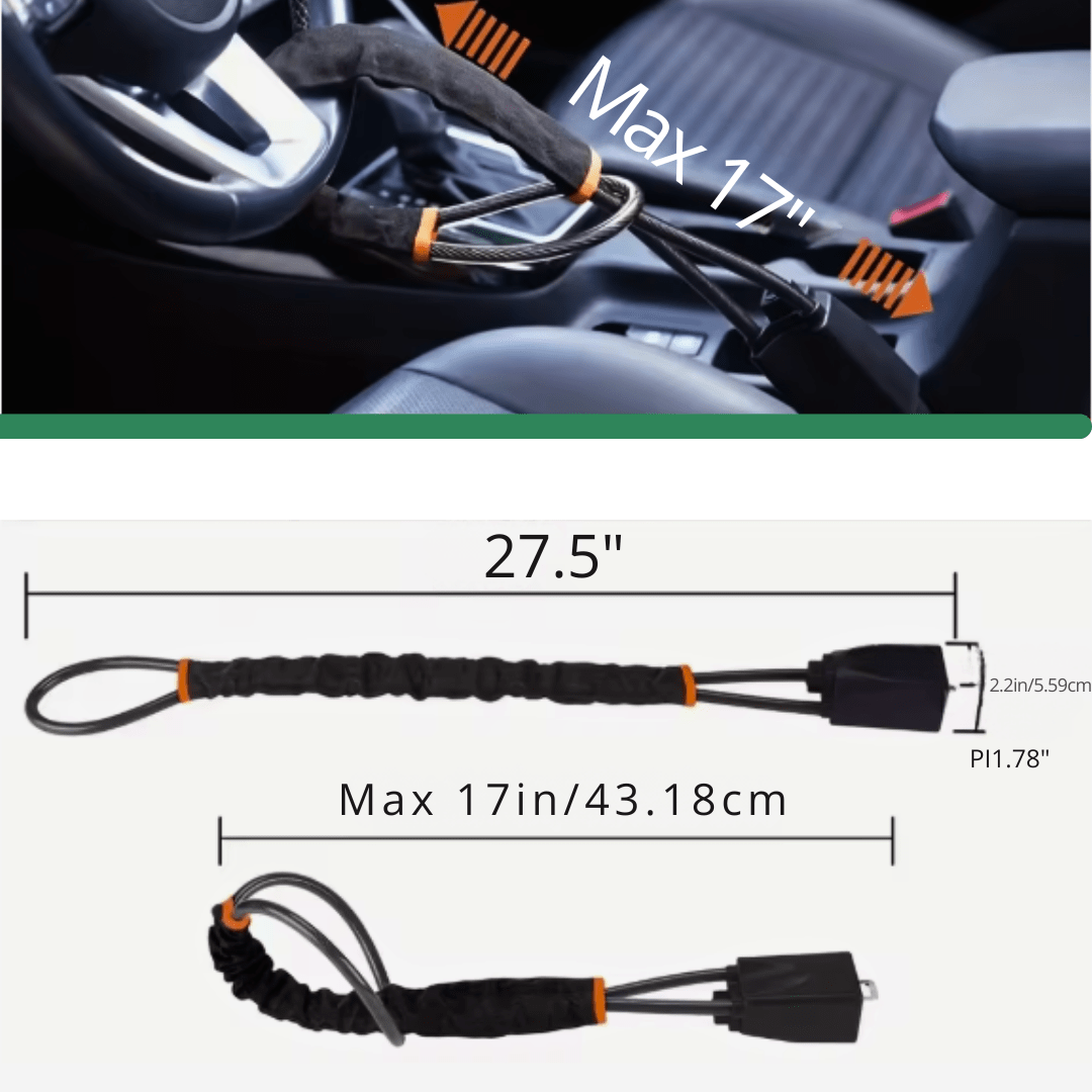 Cardian Pro™ Steering Lock